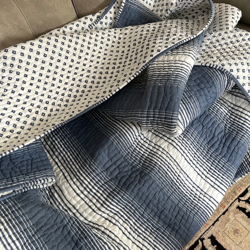 Garnet Hill king size cotton quilt and 2 matching euro shams.